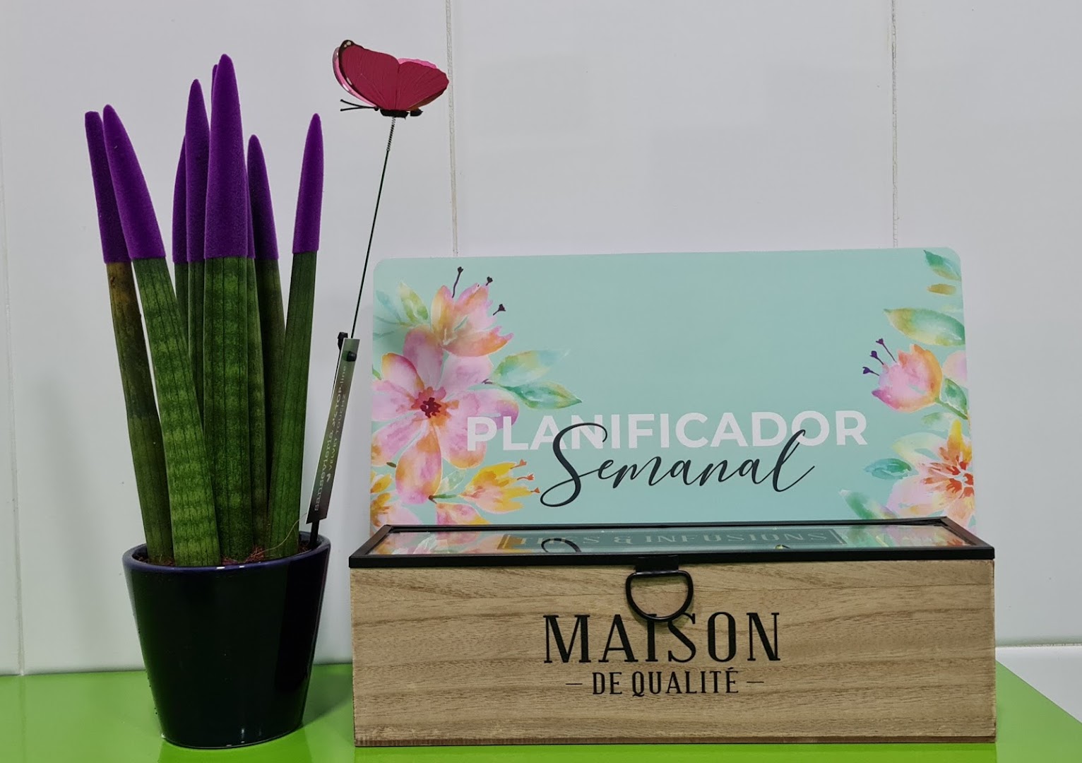 Limpiezas Novoa, S. A. — Fotos 15